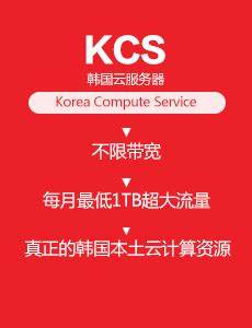 韩国稳定快速服务器韩国CN2服务器首当其冲高配低价
