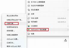 输入服务器的IP地址及登录凭证